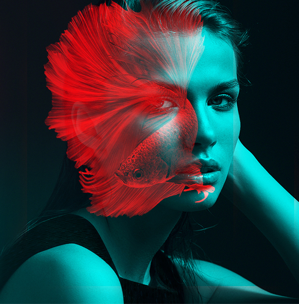 lightroom preset for Product photography